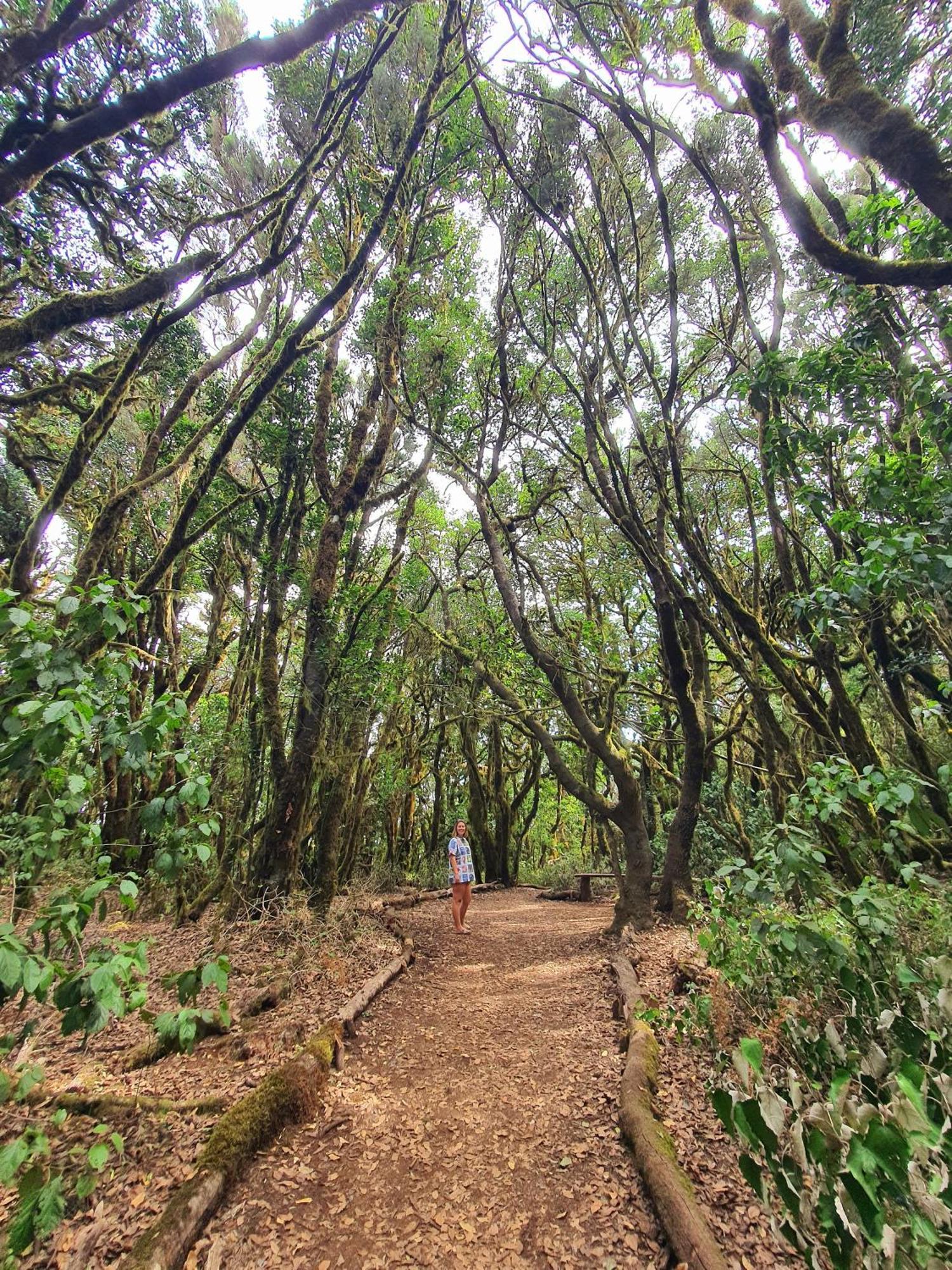 Hostal Colon San Sebastián de la Gomera Dış mekan fotoğraf